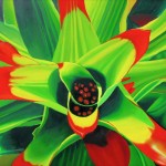 Bromeliad, botanical paintings, tropical plant, succulent, macro tropical plant,