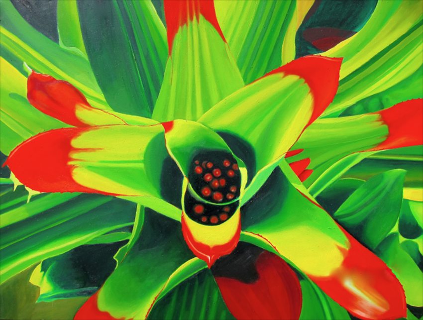 Bromeliad, botanical paintings, tropical plant, succulent, macro tropical plant,