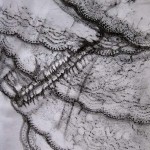 as time goes by, lace, frottage, frottage drawings,