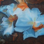 Transience, mortality, blue flower, blue flower paintings, transparent petals,